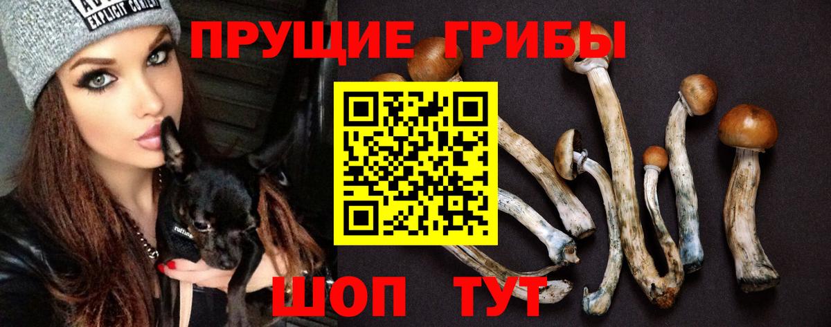 Псилоцибиновые грибы ЛСД  Вход с VPN  Красногорск 