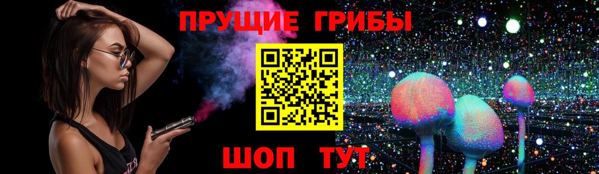 Псилоцибиновые грибы Cubensis Красногорск